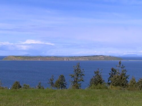 현실판 ‘캐스트 어웨이’? 워싱턴 무인도에 홀로 거주하는 70대 남성 화제