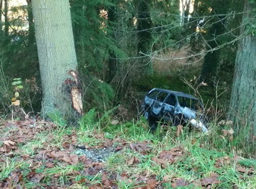 카마노 인근에서 발생한 인명피해 사고, 낮은 기온 때문인 것으로